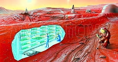 Марсианская ферма