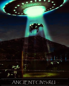 Рядом с появлением кругов на полях, НЛО похищают животных у фермеров