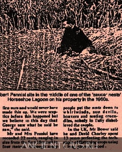 Семья фермеров Альберт и Эми Пенниси обнаружила круг в поле в 1960 г.