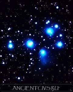 Созвездие Плеяд