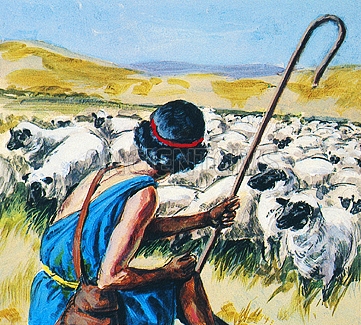 юный Давид, пасущий овец